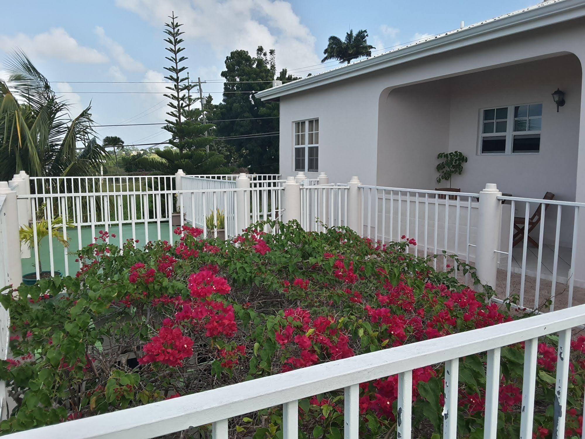Caribbean Inn And Suites St. John's Zewnętrze zdjęcie